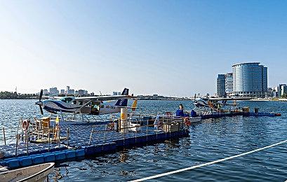 《艾尔登法环：黄金树幽影》Steam中文区多半差评 数值体验差、优化太烂