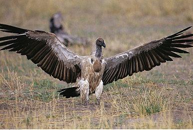 《红霞岛》QuakeCon开发者解说视频发布